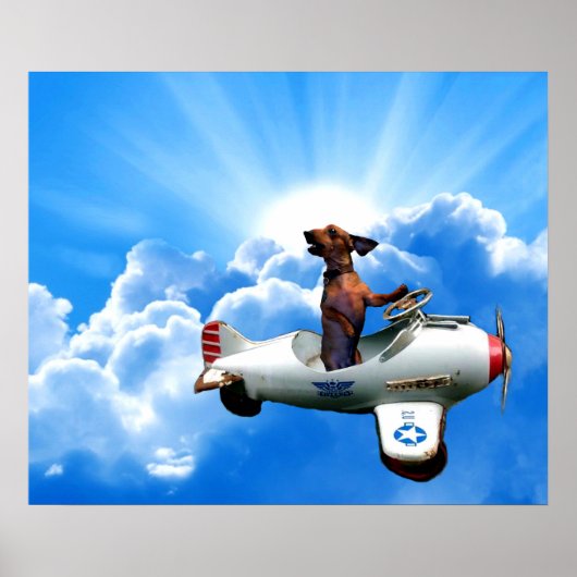 "Dackel Aviator" von Zermeno Poster (Vorne)