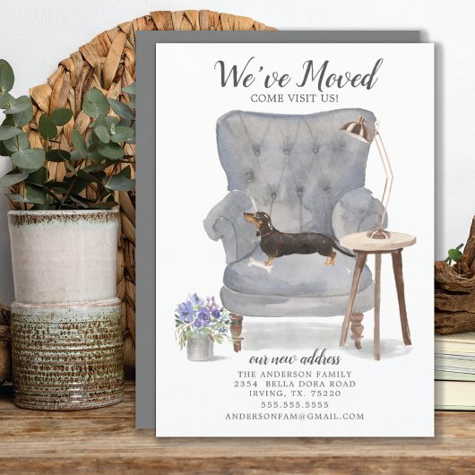 Dackel Black & Tan | Ankündigung der Beförderung