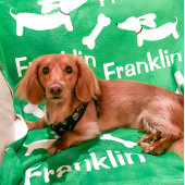 Dackel Blanket Personalisierte Dackel Dog Geschenk Fleecedecke