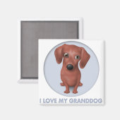 Dackel (braun) Großhund Magnet (Vorderseite/Rückseite)