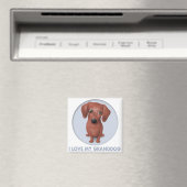 Dackel (braun) Großhund Magnet (In Situ (Geschirrspüler))