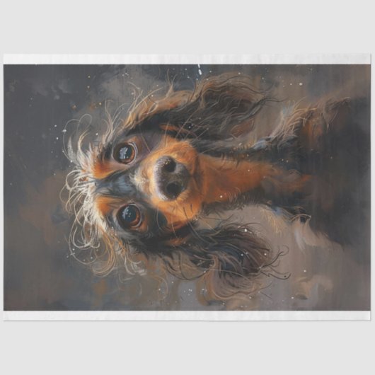 Dackel Buddy Wigglesworth Hund Decoupage Seidenpapier (Vorderseite)