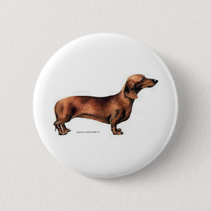 Dackel Button