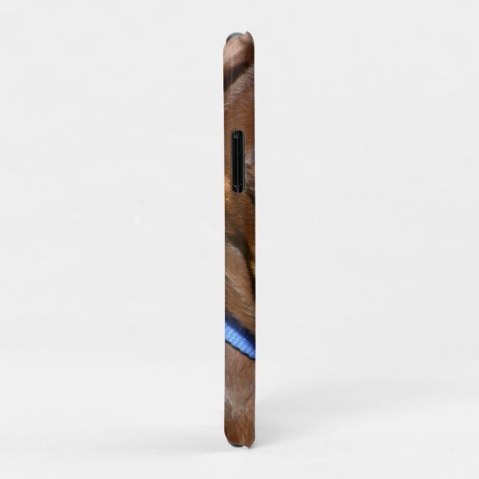 Dackel Case-Mate iPhone Hülle (Hinten/Rechts)