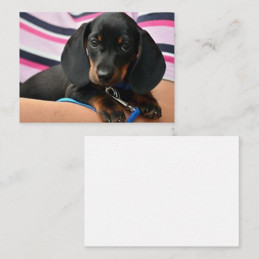 Dackel-CDs - Karte mit flachem Hinweis (Vorne/Hinten)