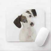 Dackel/Chihuahua Welpe, die starrt Mousepad (Mit Mouse)