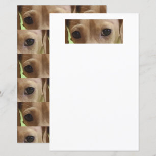 Dackel Creme Augen Scrapbook Papier