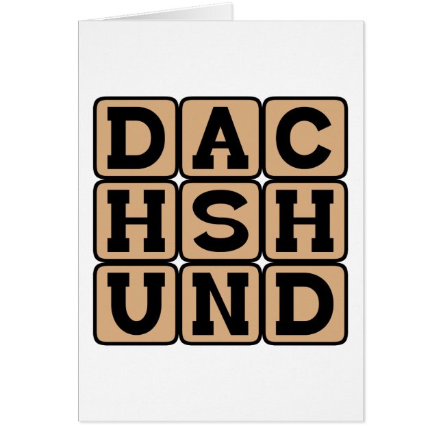 Dackel, Dackel Hund (Vorne)