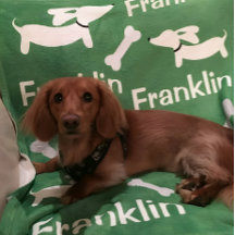 Dackel Dackel Hund Custom Blanket