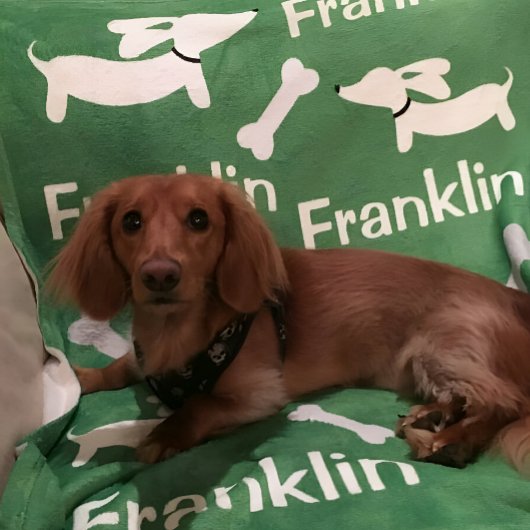 Dackel Dackel Hund Custom Blanket Fleecedecke