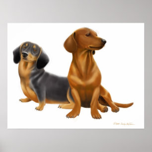 Dackel Dackel Hunde drucken Poster