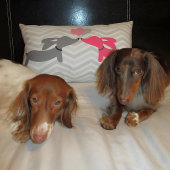 Dackel Dackel Hunde Liebe & Herz Rosa & Grau Lendenkissen