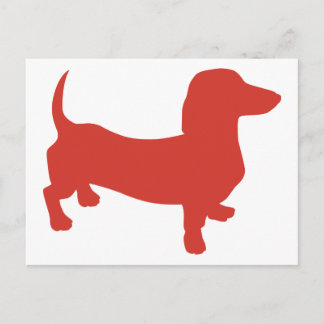 Dackel - Dacshund Postkarte