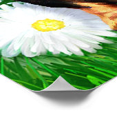 Dackel Daisy Patch B&T Poster (Ecke)