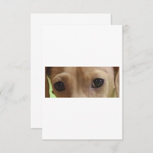 Dackel Dankeskarte (Vorne/Hinten)