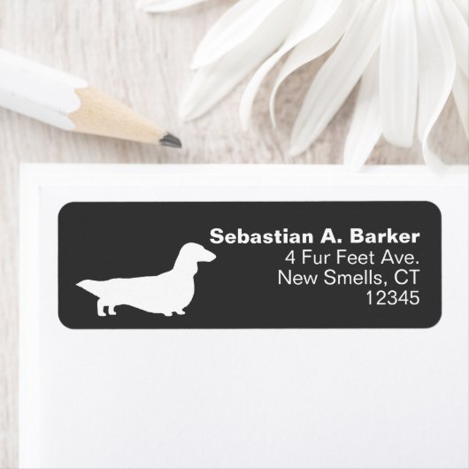 Dackel der langhaarigen Dackel Rücksendeadresse (Insitu)