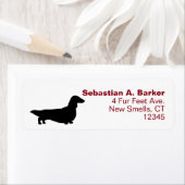 Dackel der langhaarigen Dackel Rücksendeadresse (Insitu)