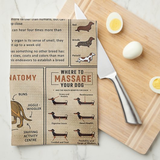 Dackel der wissensbasierten Dackel Geschirrtuch (Viertel Falte)