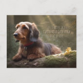 Dackel des Drahthaars in den Wäldern Postkarte (Vorderseite)