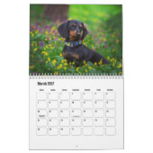 Dackel Dog-Kalender Kalender (Mär 2027)