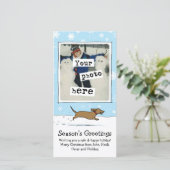 Dackel Dog Snow Weihnachten | Dackel Ihr Foto (Stehend Vorderseite)