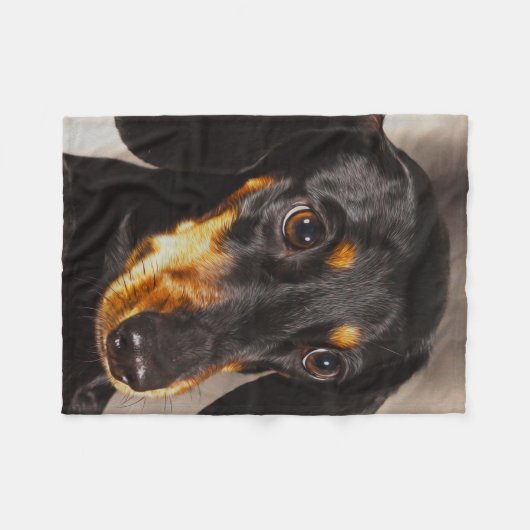 Dackel Dog Wasser Farbe Öl Malerei Art Fleecedecke (Vorderseite (Horizontal))