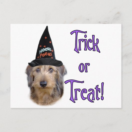 Dackel (Draht) Postkarte (Vorderseite)