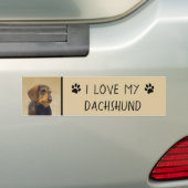 Dackel (Drahthaar) Malerei Original Dog Art Autoaufkleber (Auf Auto)