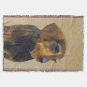 Dackel (Drahthaar) Malerei Original Dog Art Decke (Vorderseite)
