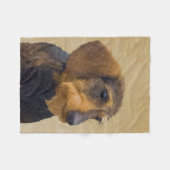 Dackel (Drahthaar) Malerei Original Dog Art Fleecedecke (Vorderseite (Horizontal))