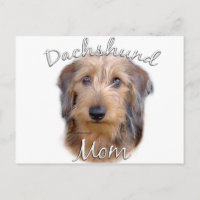 Dackel (Drahthaar) Mama 2