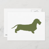 Dackel Drahthaar Postkarte (Vorne/Hinten)