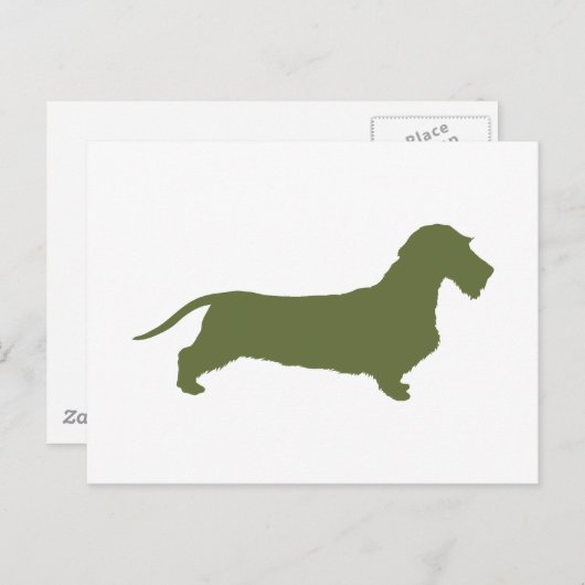 Dackel Drahthaar Postkarte (Vorne/Hinten)