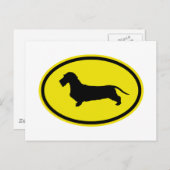 Dackel Drahthaar Postkarte (Vorne/Hinten)