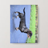 Dackel Drahthaar voll Button (Vorderseite)