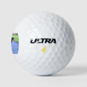 Dackel Drahthaar voll Golfball (Logo)