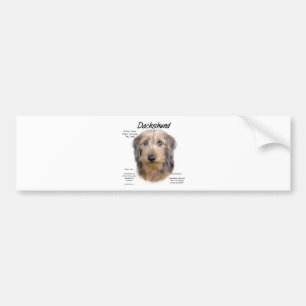 Dackel (Drahthaarterrier) Historisches Design Autoaufkleber