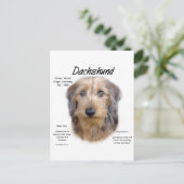 Dackel (Drahthaarterrier) Historisches Design Postkarte (Stehend Vorderseite)