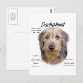 Dackel (Drahthaarterrier) Historisches Design Postkarte (Vorne/Hinten)