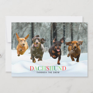 Dackel durch den Schnee 4 laufende Hunde Lustig Feiertagskarte