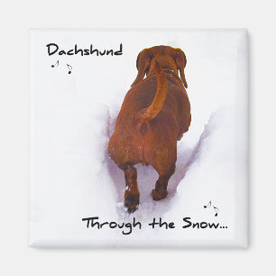 Dackel durch den Schnee, der durch den Schnee Magnet