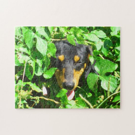 Dackel durch die Blätter Puzzle (Horizontal)