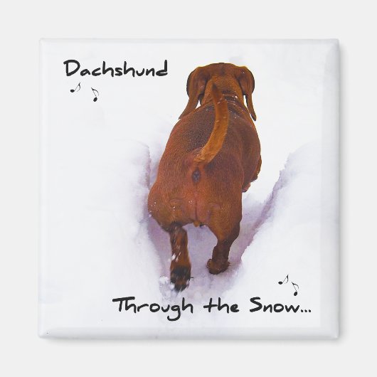 Dackel durch Schnee, der durch den Schnee hinaustr Magnet (Vorne)