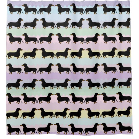 Dackel Duschvorhang (Vorderseite)