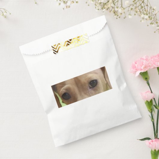 Dackel Eyes Creme Geschenktütchen (Versiegelt)