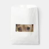 Dackel Eyes Creme Geschenktütchen (Vorderseite)
