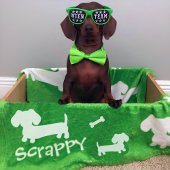 Dackel Fleece Blanket Green Personalisiert