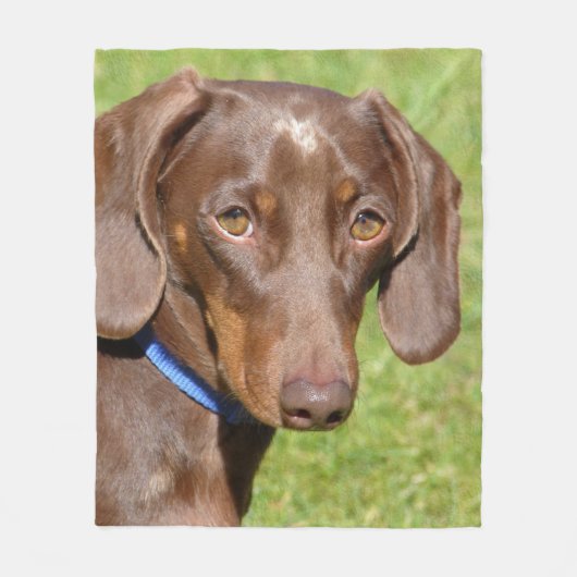 Dackel Fleecedecke (Vorderseite)