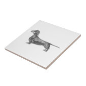 Dackel Fliese (Seite)