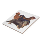 Dackel Fliese (Seite)